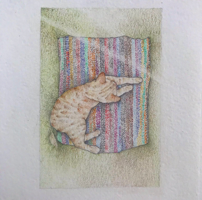 Солнечный луч