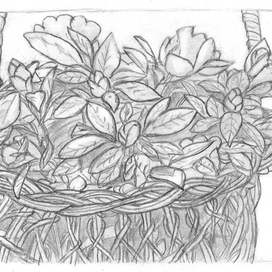 Корзина с цветами (карандаш)