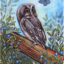 Совушки. Сычик в чернике