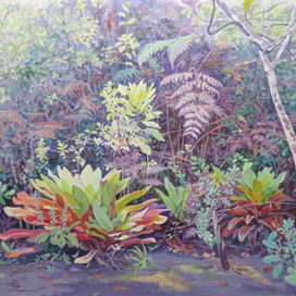 Бромелии  (Из цикла Туманные леса Рораймы (3) )