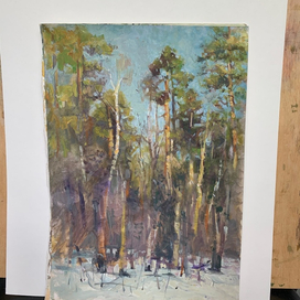 Заснеженный парк