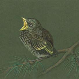 Кушать хочу...