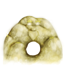 Счастливый камень с дыркой