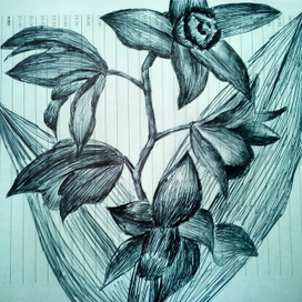 еще орхидея