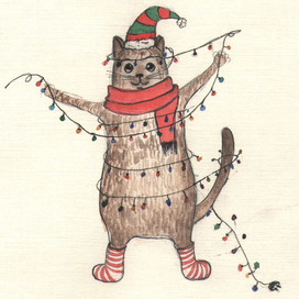 новогодние котики