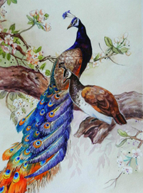 Павлины, нарисованные в подарок на свадьбу