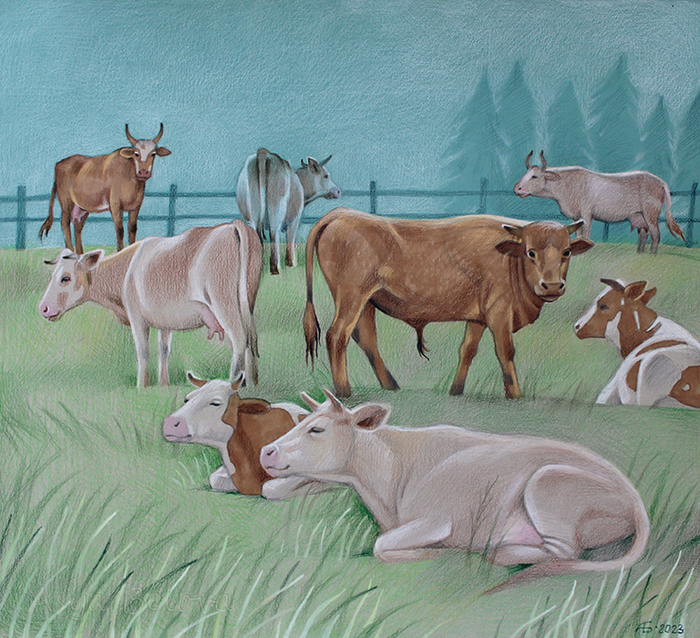 Мирно пасутся коровы