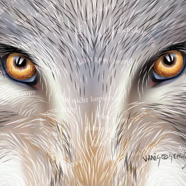 пример работы