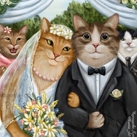 Кошачья свадьба