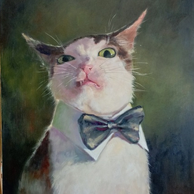 Портрет кота