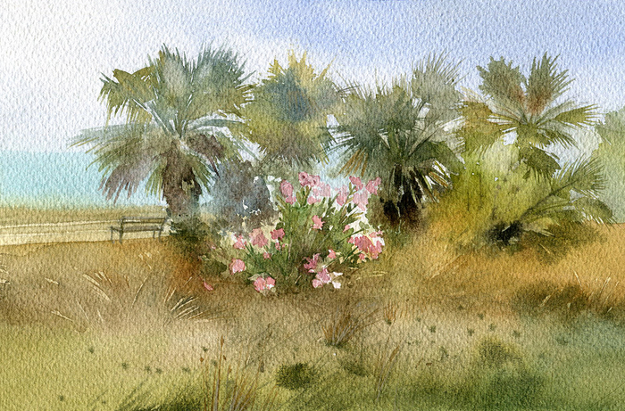 Розовый куст