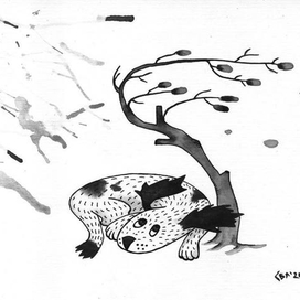 Псовое создание в штормовую погоду прячется от дождя