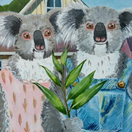 koalas