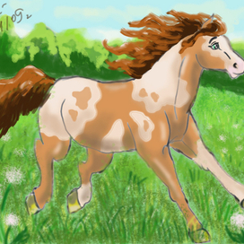 Коняшка в одуванчиках