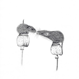 Mouse and Papaver