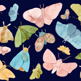 Танец мотыльков