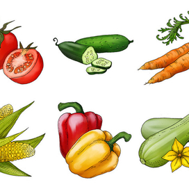 Овощи