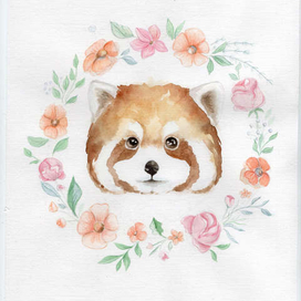 Рыжая панда