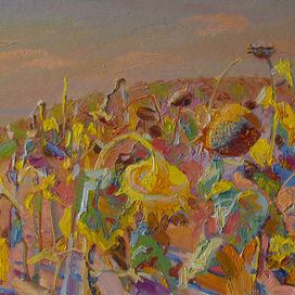 Сухие подсолнухи