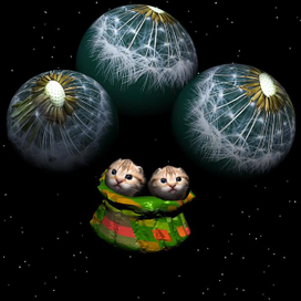 уснули вместе