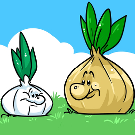 Лук и чеснок