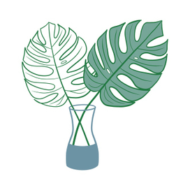 Листы монстеры