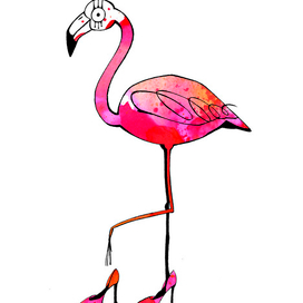 Фламинго