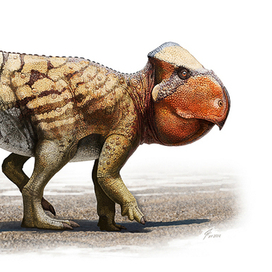 Udanoceratops