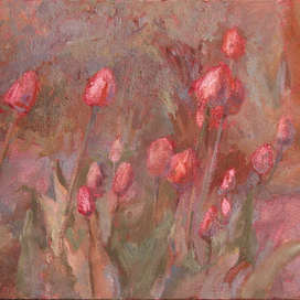 Красные тюльпаны