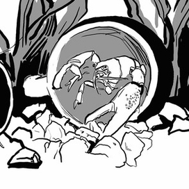 Сергеев «Мои друзья»