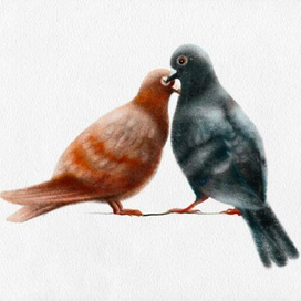 Любовь это...