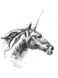 unicorn