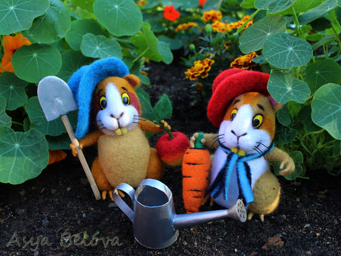 Во саду ли в огороде