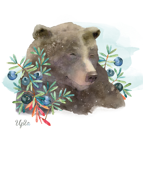 Медведь в шикше