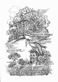 Н. Заболоцкий. ТОРЖЕСТВО ЗЕМЛЕДЕЛИЯ.