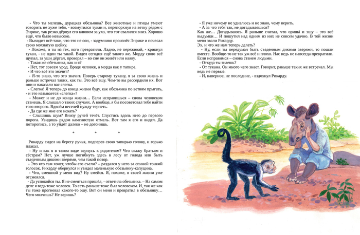 "Ягуар-гаримпейру " разворот 12