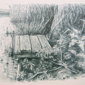 Здесь хорошо клюют плотвички