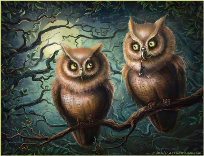 Из жизни сов