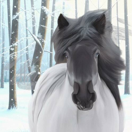 Брабансон "Киса"