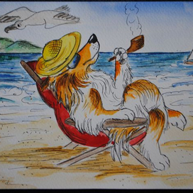 Колли на отдыхе