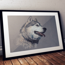 Аляскинский маламут