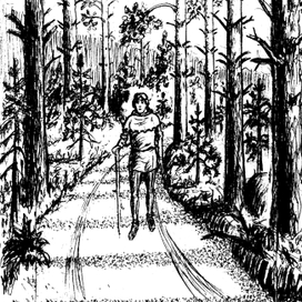 Иллюстрация к книге "Удивительные приключения Билла Грэлли"