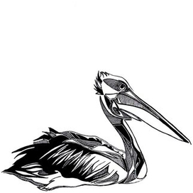 Достаточно серьезная птица