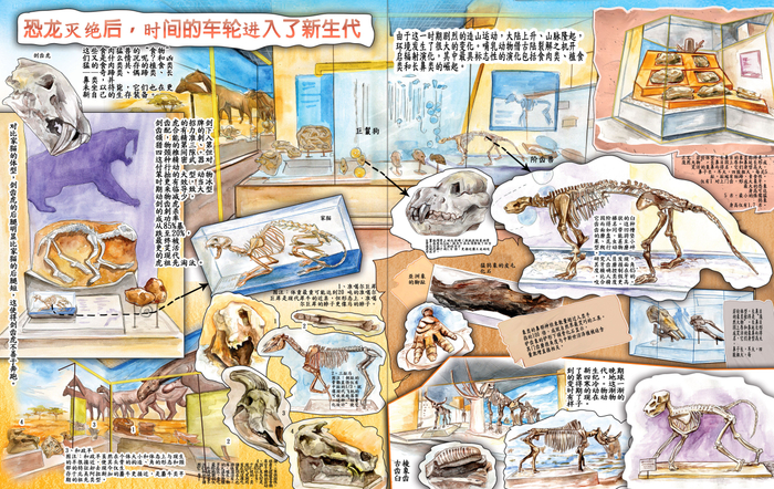 Для китайского издательства