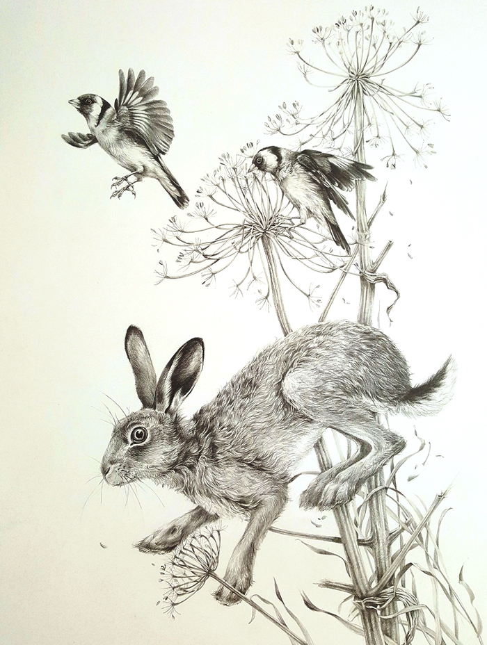 В стране дремучих трав