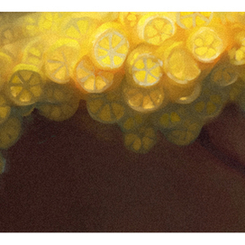 цитрусовое дерево