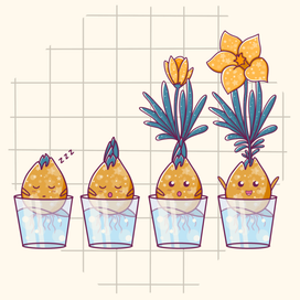 Луковица и цветок