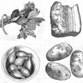 грудинка, зелень, лук, картошка