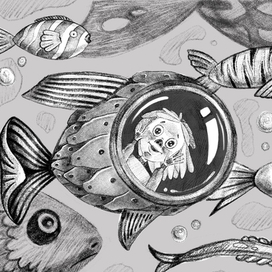 Путешествие волшебной девочки