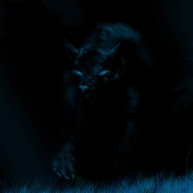 Охота в полнолуние